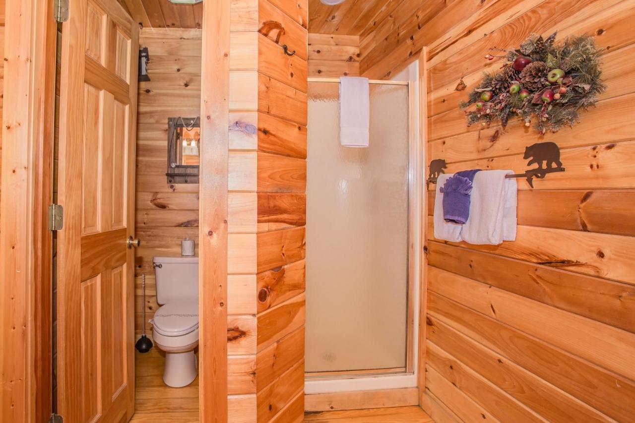 Alpine Joy-Hot Tub, Pond Access ,1089 Of Free Tickets For Each Paid Day, Dollywood And More! Таунсенд Екстер'єр фото